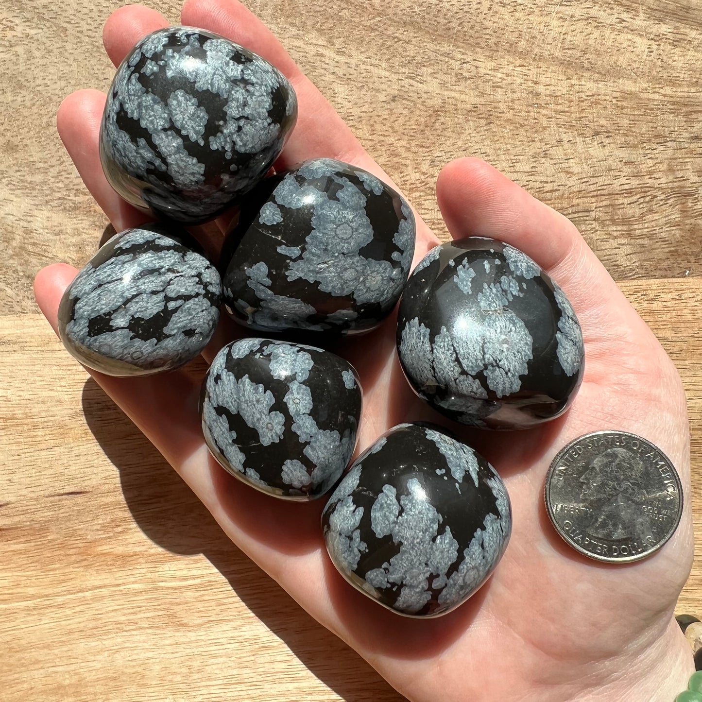 Snowflake Obsidian Tumble