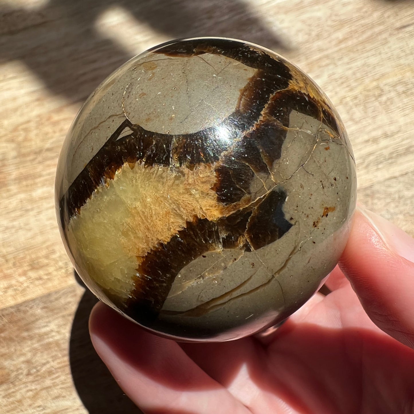 Septarian Sphere