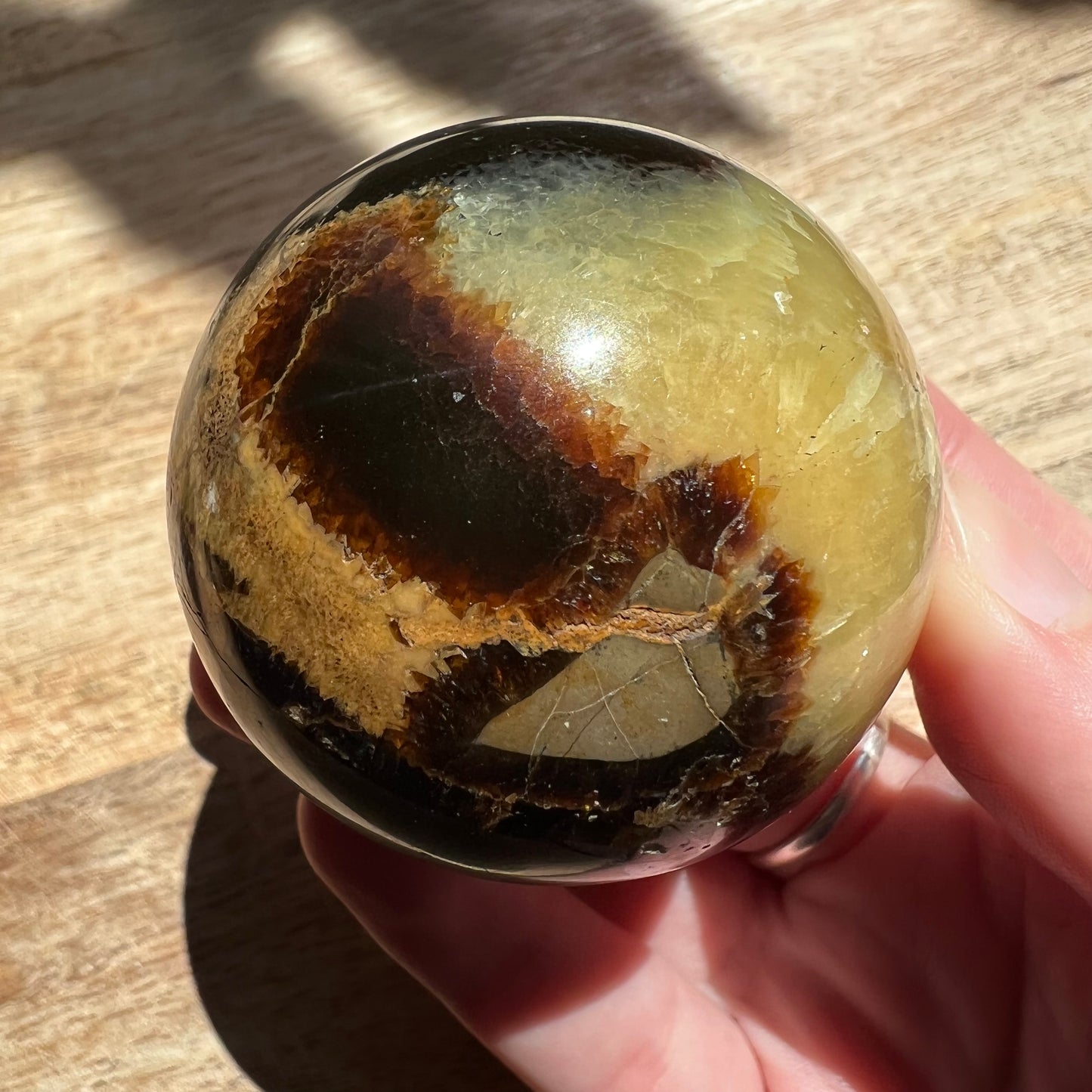 Septarian Sphere