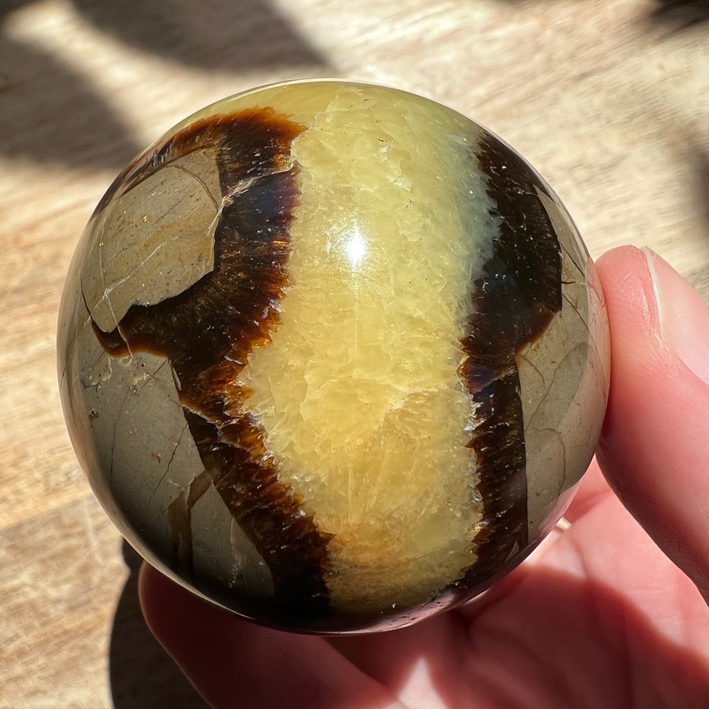 Septarian Sphere