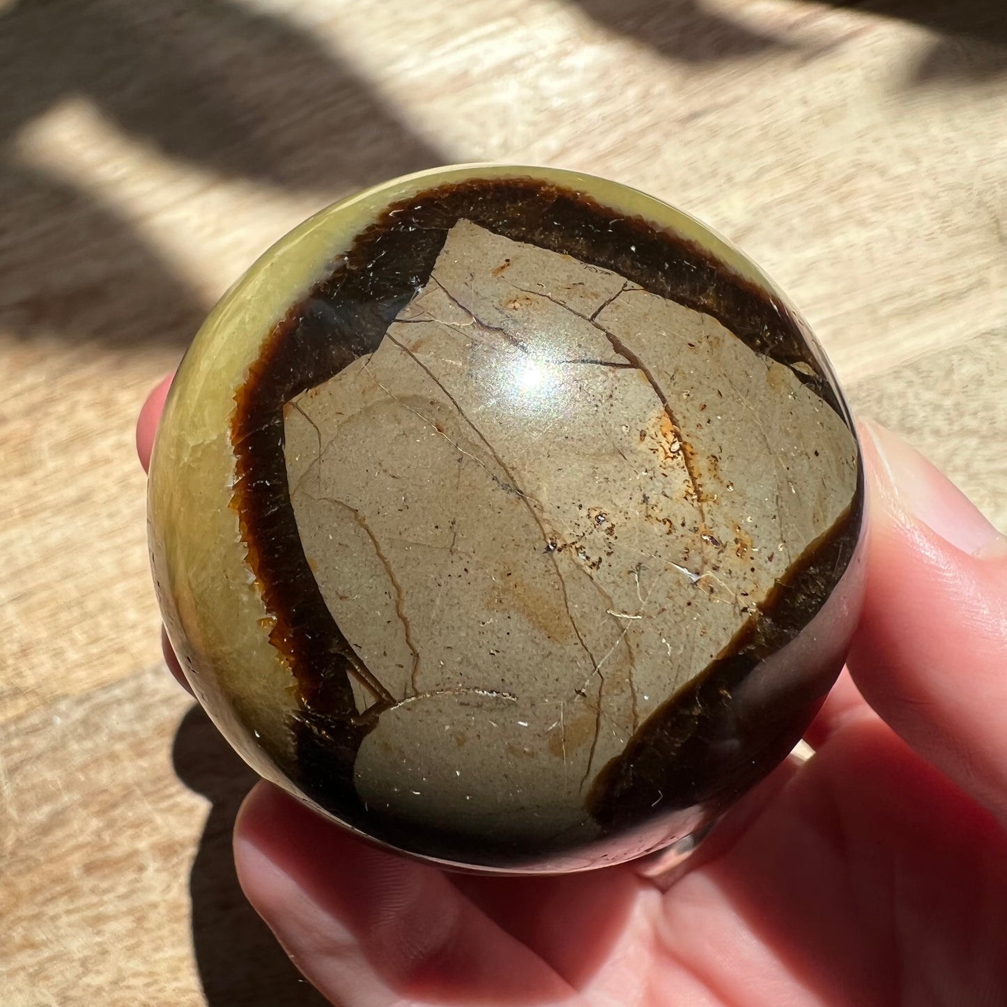 Septarian Sphere