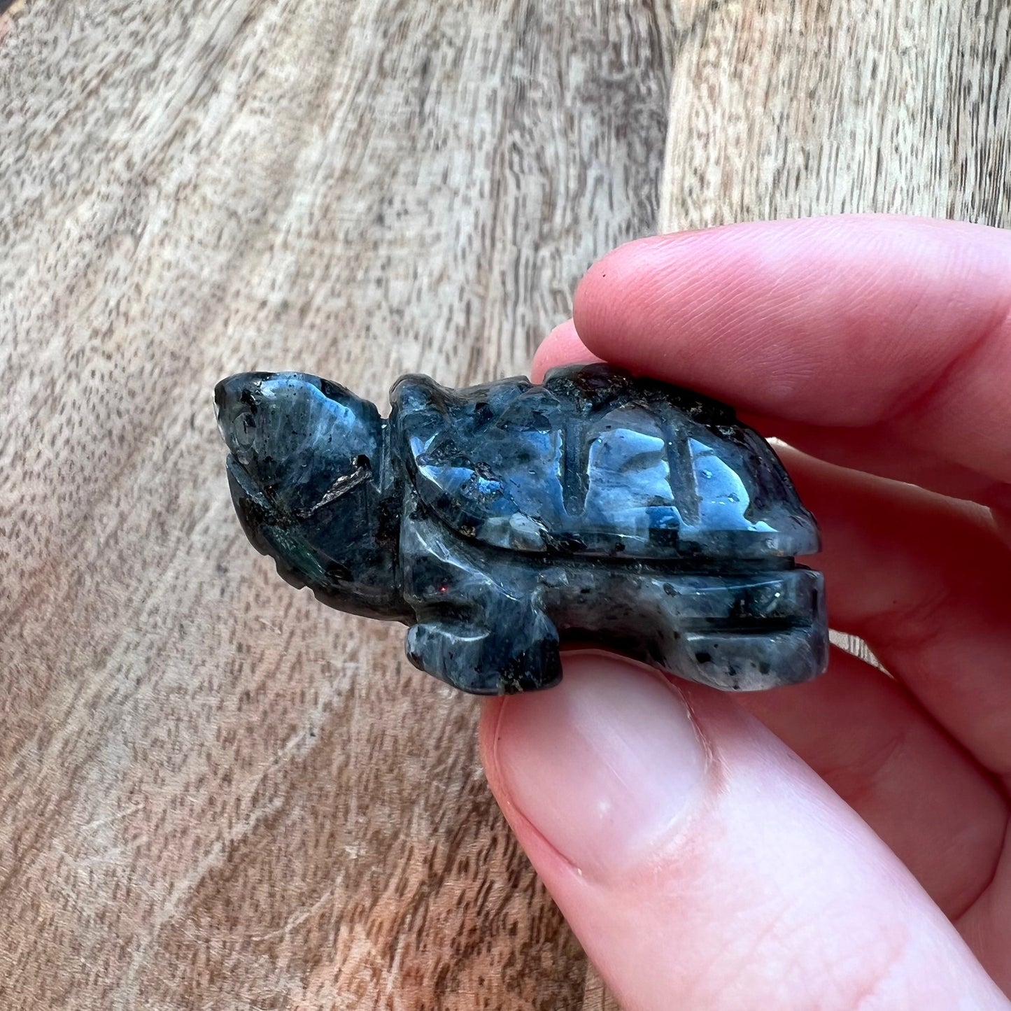 Larvikite Turtle Carving