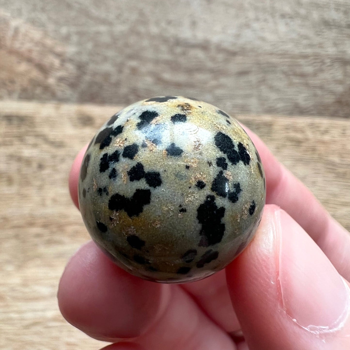 Dalmatian Jasper Mini Sphere